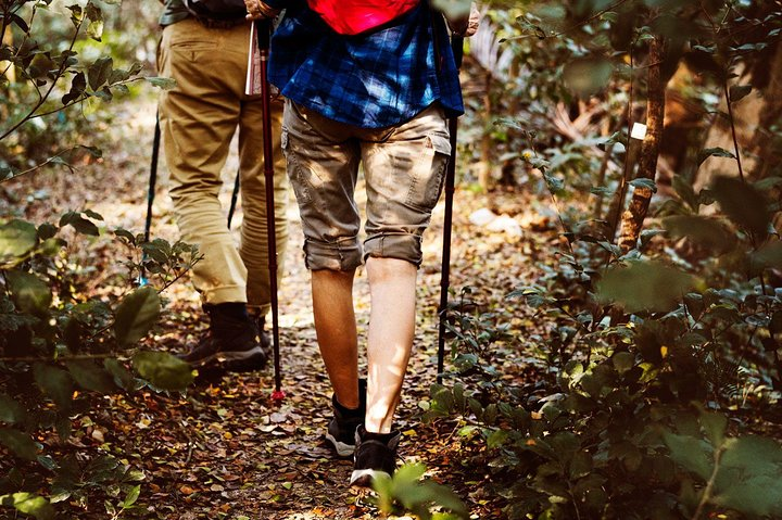 Jungle Trekking in Yala Buffer Zone from Hambantota Harbor - Photo 1 of 7